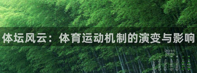 三亿体育网