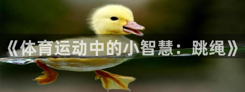 三亿体育