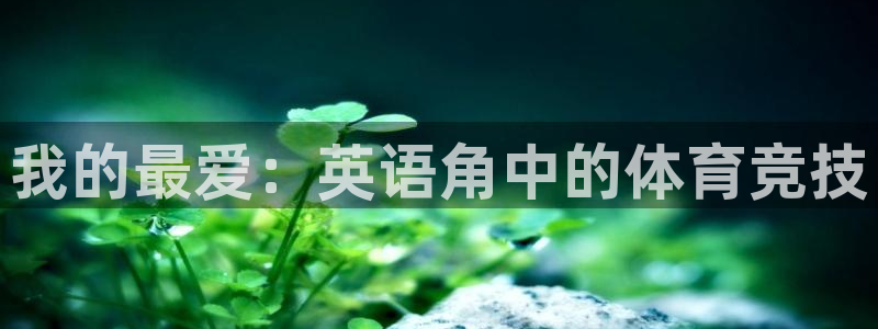 三亿体育网页版