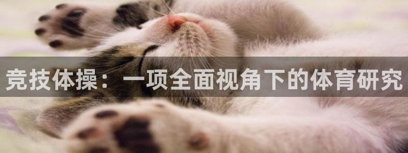 三亿体育