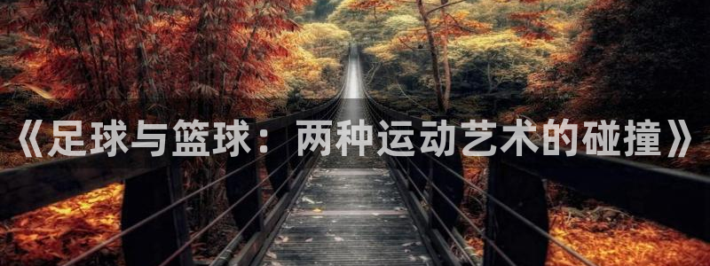 三亿体育网页版