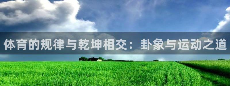 三亿体育网