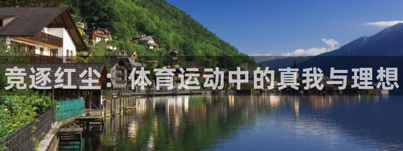 三亿体育网页版