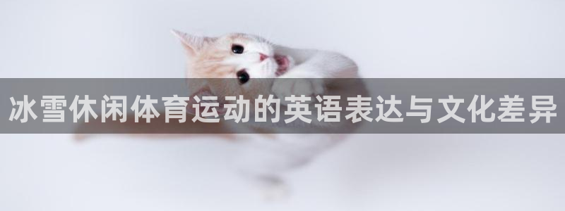 三亿体育网页版