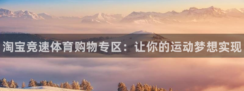 三亿体育网页版