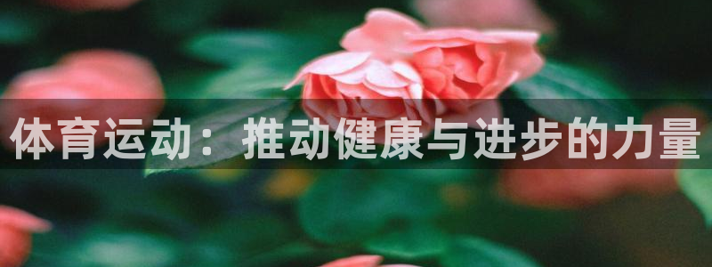三亿体育网页版