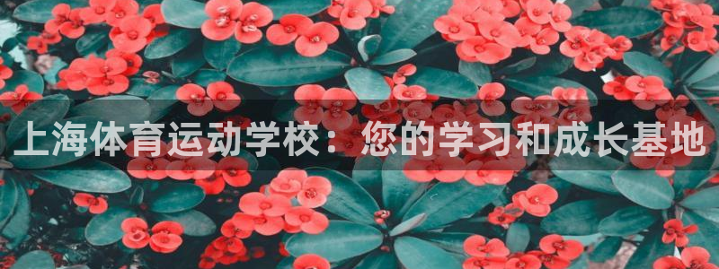 三亿体育
