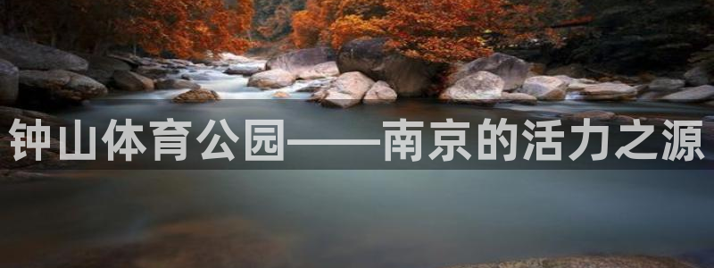 三亿体育