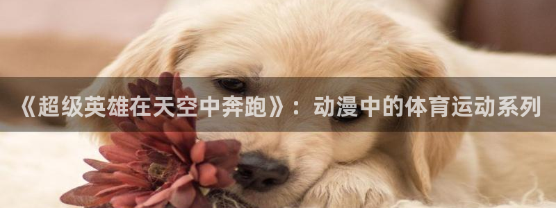 三亿体育网页版