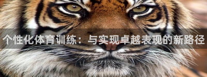 三亿体育网页版