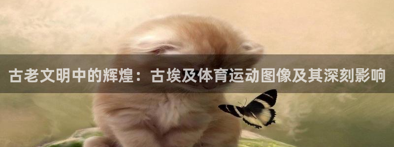 三亿体育