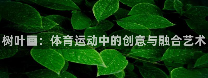 三亿体育登录