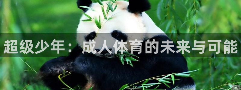 三亿体育网页版