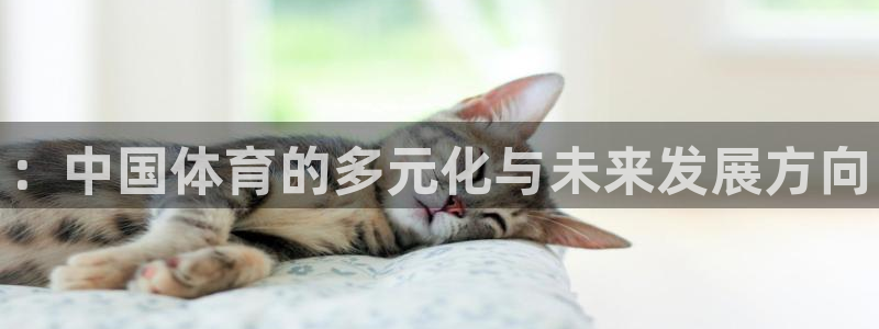 三亿体育网页版