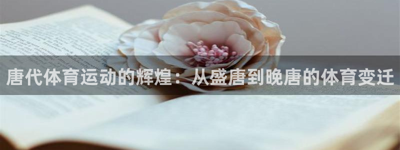 三亿体育登录