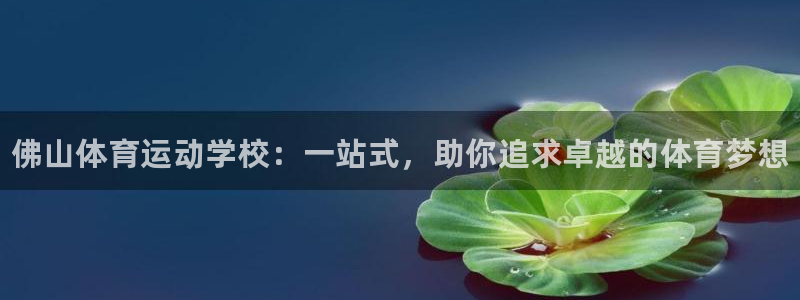 三亿体育网页版