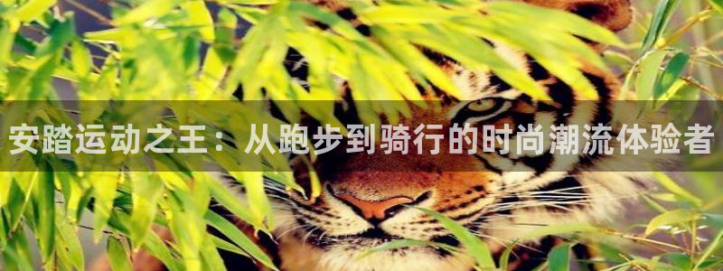 三亿体育登录：安踏运动之王：从跑步到骑行的时尚潮流体验者