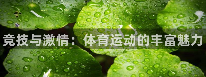 三亿体育网：竞技与激情：体育运动的丰富魅力